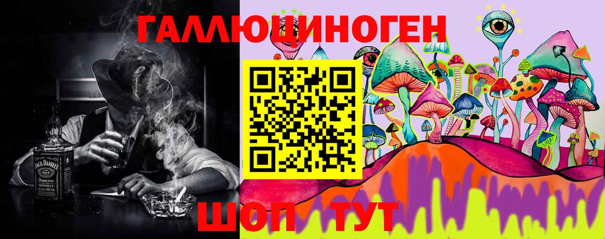 Псилоцибиновые грибы Cubensis  Вход с VPN  Королёв 