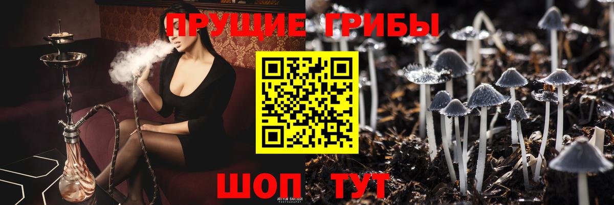 Королёв  Амфетамин   ГАШ  A PVP СОЛЬ кристаллы  ГАШИШ  Меф   Вход с VPN  КОКАИН 